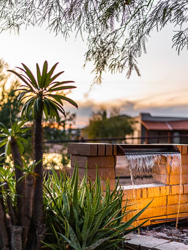 Arizona patio at sunset with palm trees and fountain